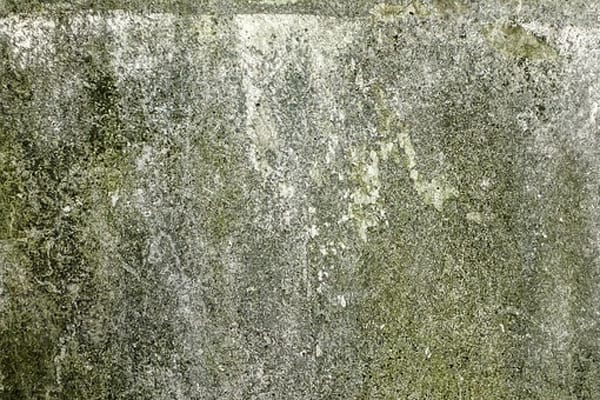 Neubau-Immobilien vor Schimmel schützen