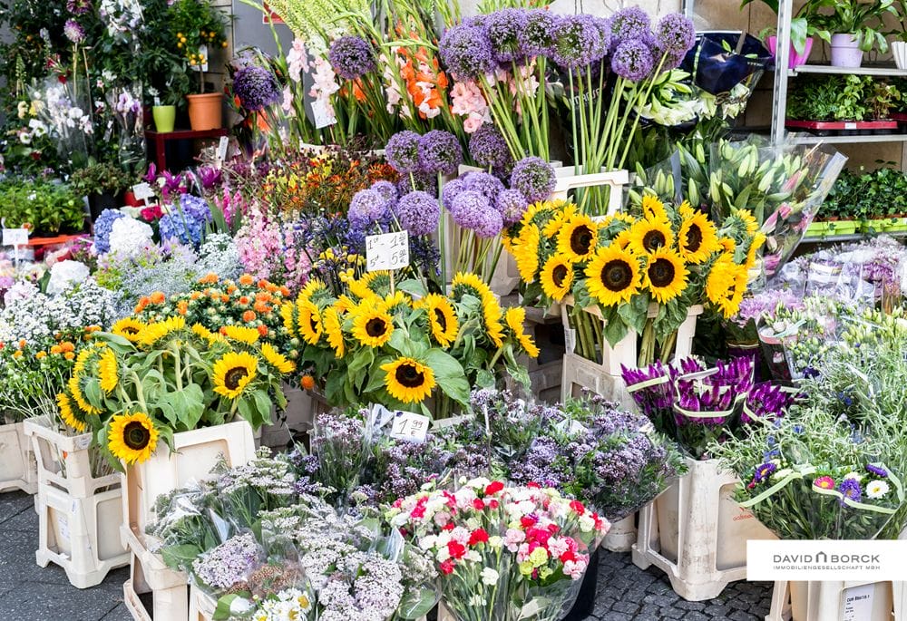 Neue Eigentumswohnungen im Kreativquartier beim Blumengroßmarkt