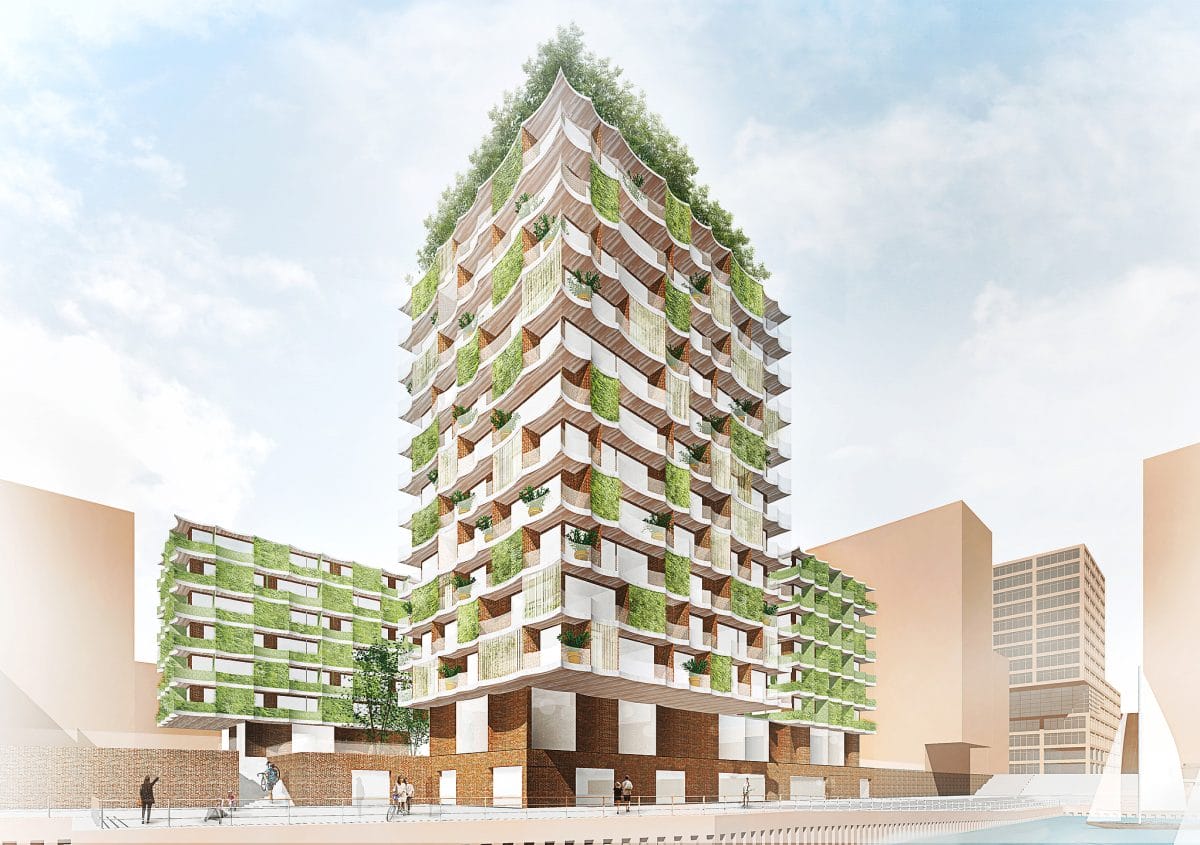 Neu in Deutschland: Erstes ökologisches „Moringa“-Hochhaus entsteht in Hamburg