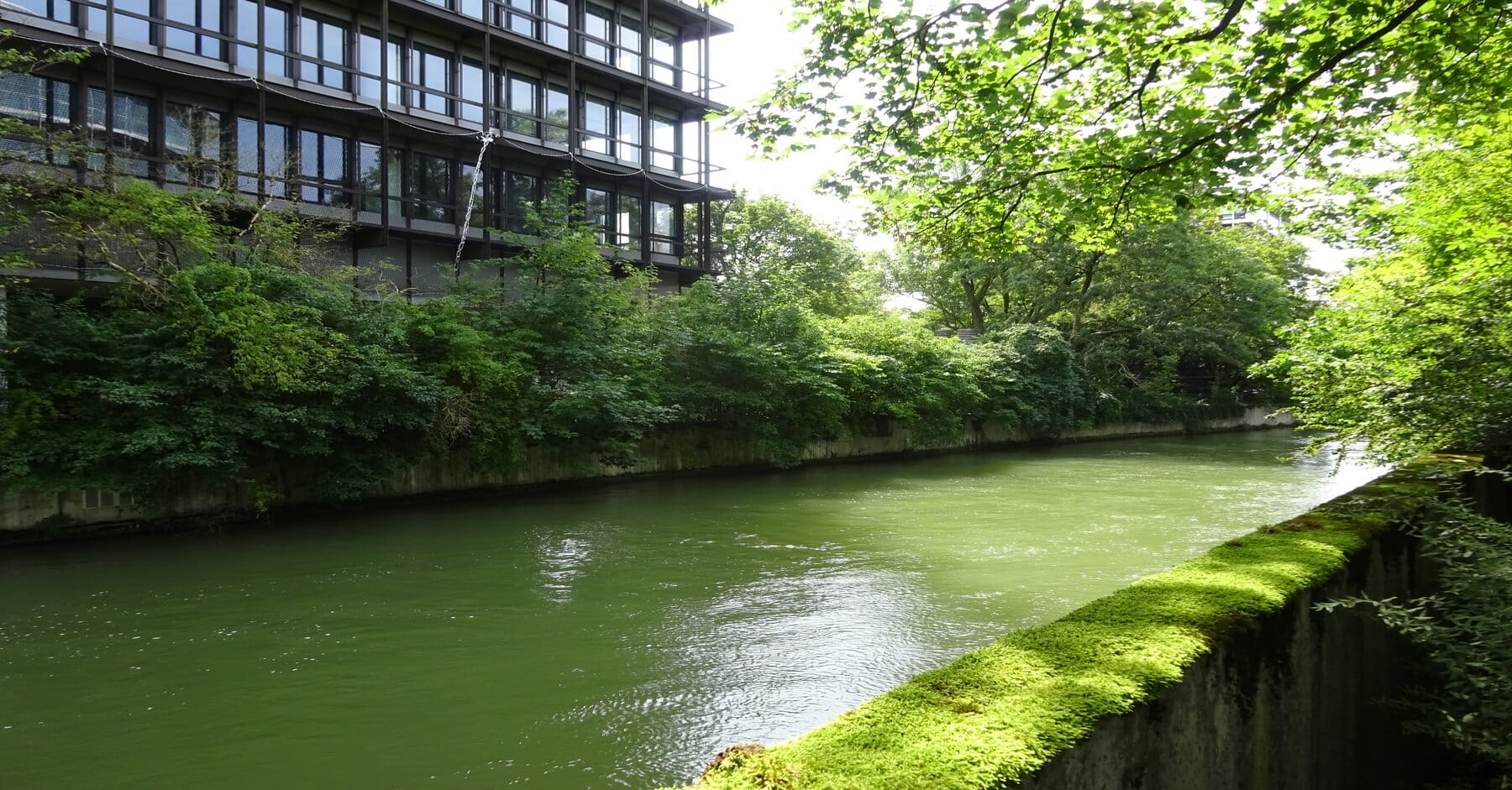 Tucherpark München: Wie viele Neubauwohnungen entstehen?